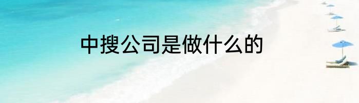 中搜公司是做什么的