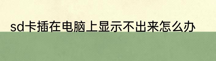 sd卡插在电脑上显示不出来怎么办