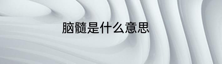 脑髓是什么意思