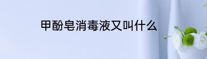 甲酚皂消毒液又叫什么