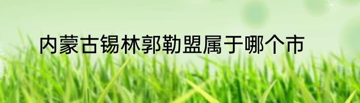 内蒙古锡林郭勒盟属于哪个市