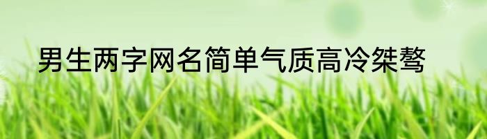 男生两字网名简单气质高冷桀骜