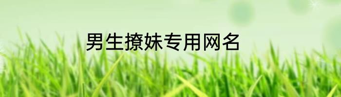 男生撩妹专用网名
