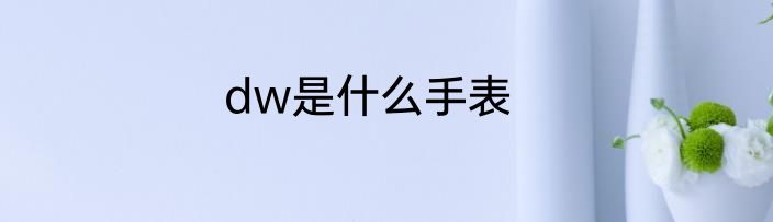 dw是什么手表