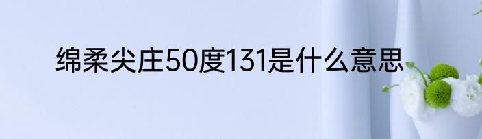 绵柔尖庄50度131是什么意思
