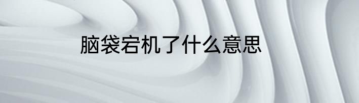 脑袋宕机了什么意思