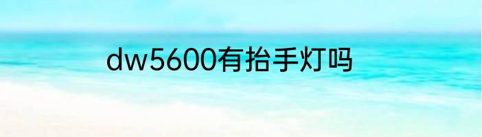 dw5600有抬手灯吗