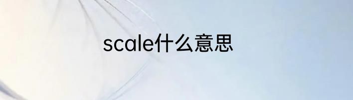 scale什么意思