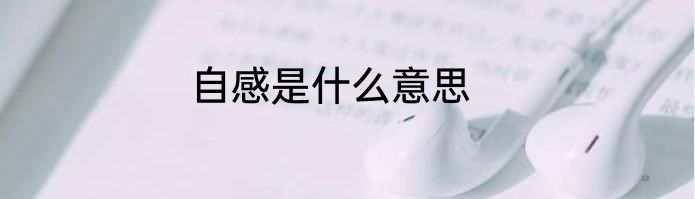自感是什么意思