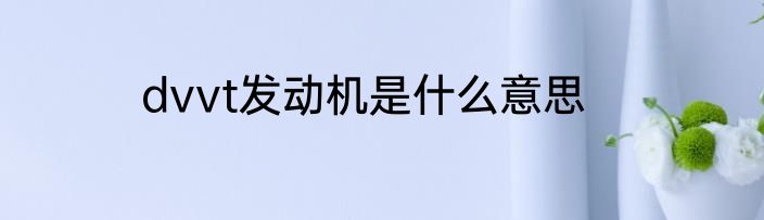 dvvt发动机是什么意思