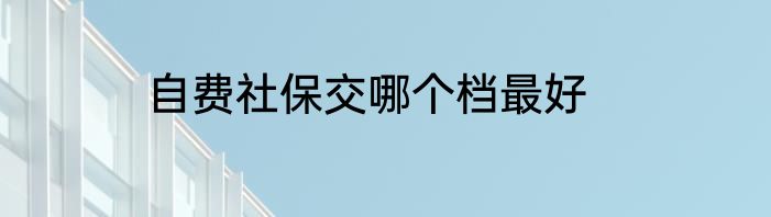 自费社保交哪个档最好