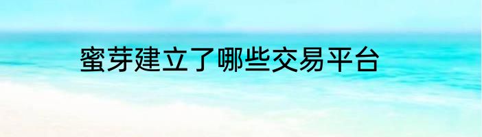 蜜芽建立了哪些交易平台