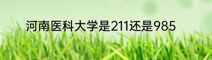 河南医科大学是211还是985