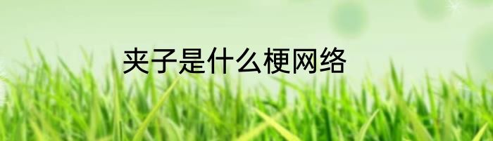 夹子是什么梗网络