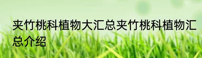 夹竹桃科植物大汇总夹竹桃科植物汇总介绍