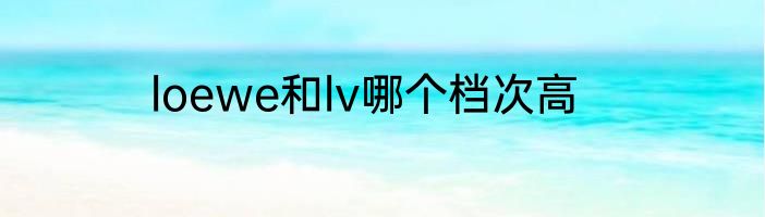 loewe和lv哪个档次高