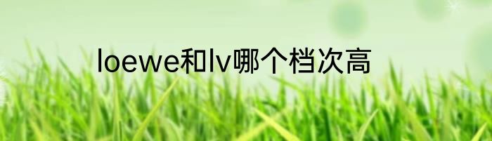 loewe和lv哪个档次高