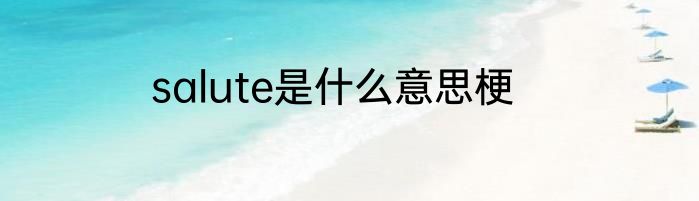 salute是什么意思梗