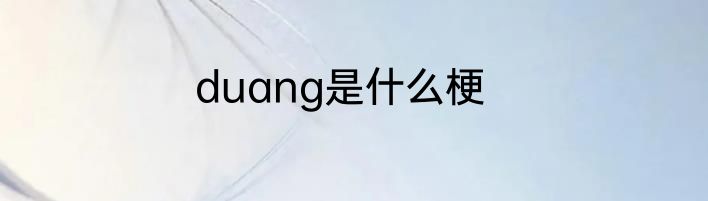 duang是什么梗