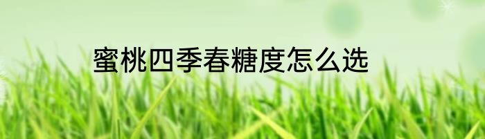 蜜桃四季春糖度怎么选