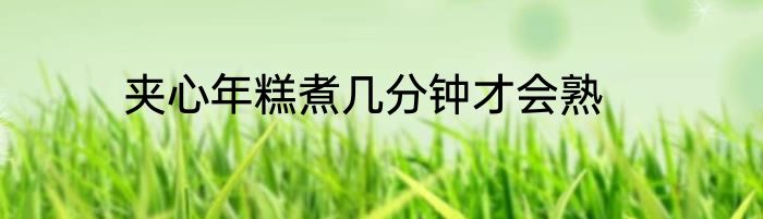夹心年糕煮几分钟才会熟