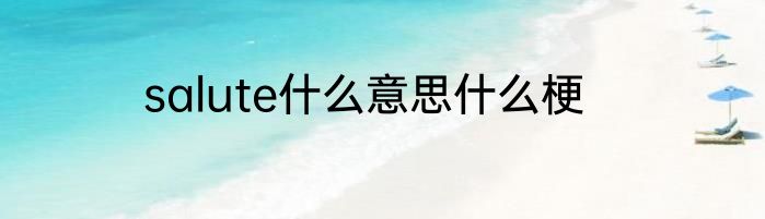 salute什么意思什么梗
