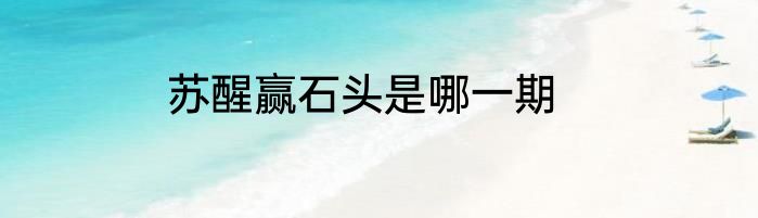 苏醒赢石头是哪一期