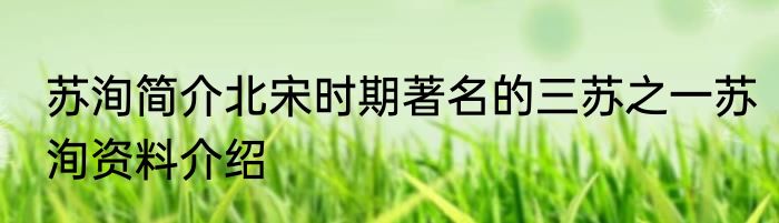 苏洵简介北宋时期著名的三苏之一苏洵资料介绍