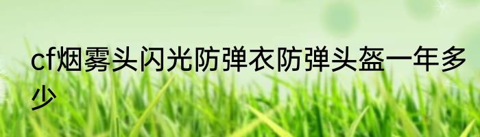 cf烟雾头闪光防弹衣防弹头盔一年多少