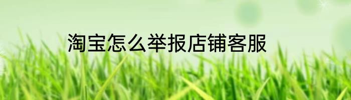 淘宝怎么举报店铺客服