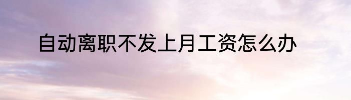 自动离职不发上月工资怎么办