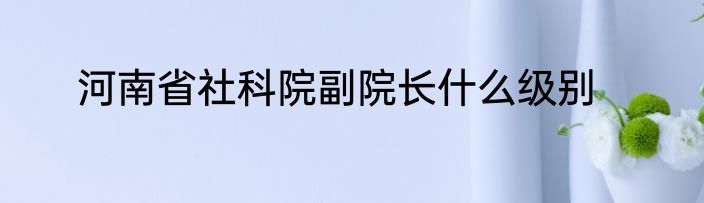河南省社科院副院长什么级别
