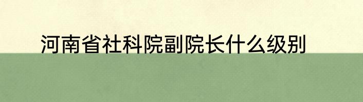 河南省社科院副院长什么级别