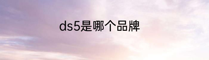 ds5是哪个品牌