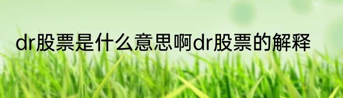 dr股票是什么意思啊dr股票的解释