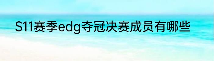 S11赛季edg夺冠决赛成员有哪些