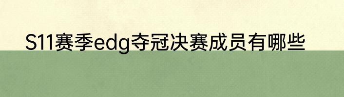 S11赛季edg夺冠决赛成员有哪些