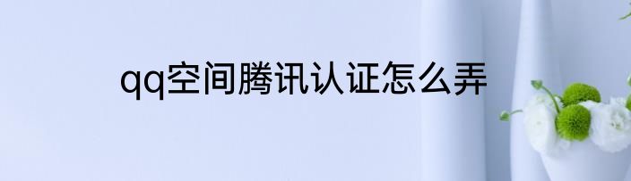 qq空间腾讯认证怎么弄