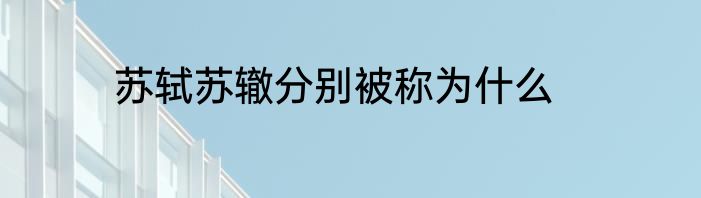 苏轼苏辙分别被称为什么