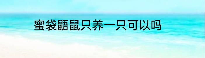 蜜袋鼯鼠只养一只可以吗