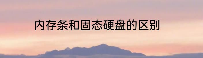 内存条和固态硬盘的区别