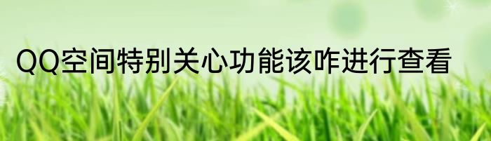 QQ空间特别关心功能该咋进行查看
