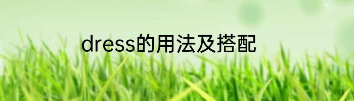 dress的用法及搭配
