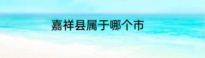 嘉祥县属于哪个市