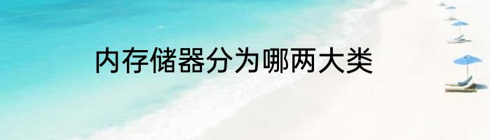 内存储器分为哪两大类