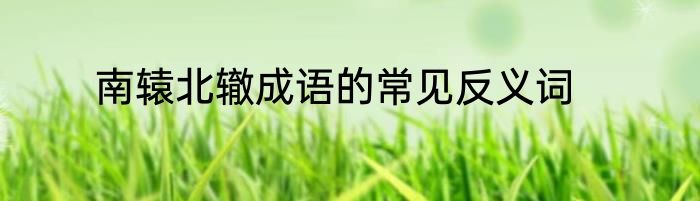 南辕北辙成语的常见反义词