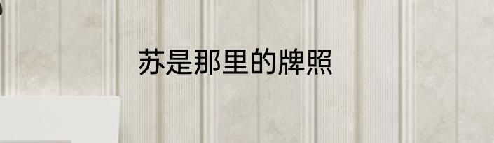 苏是那里的牌照