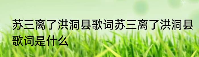 苏三离了洪洞县歌词苏三离了洪洞县歌词是什么