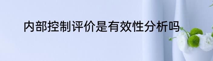 内部控制评价是有效性分析吗