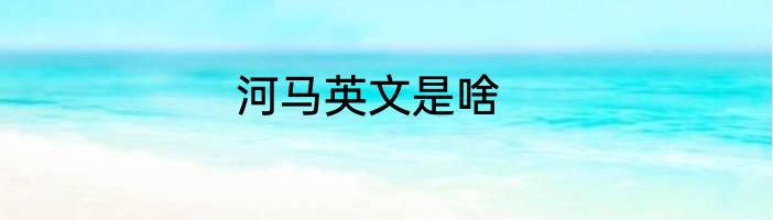 河马英文是啥
